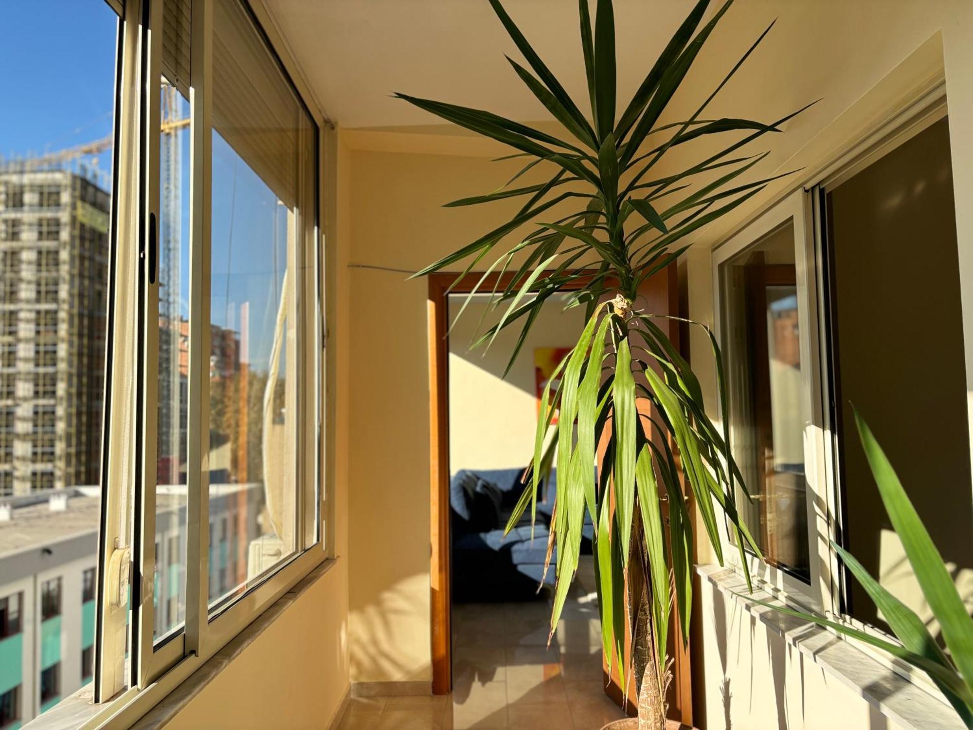 Apartamento Tam 2bdr Center Taiwan Tirana